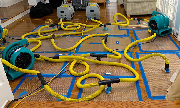 Professional Basement Flood Cleanup technician working in Tunica, LA